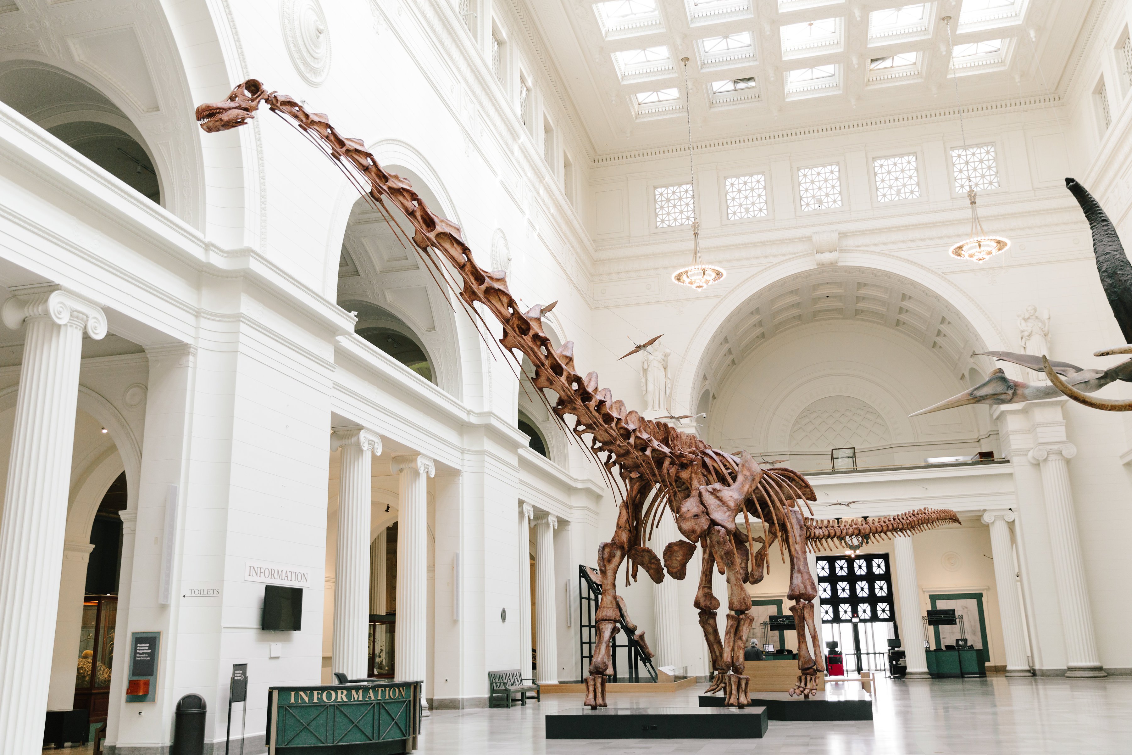 Museum